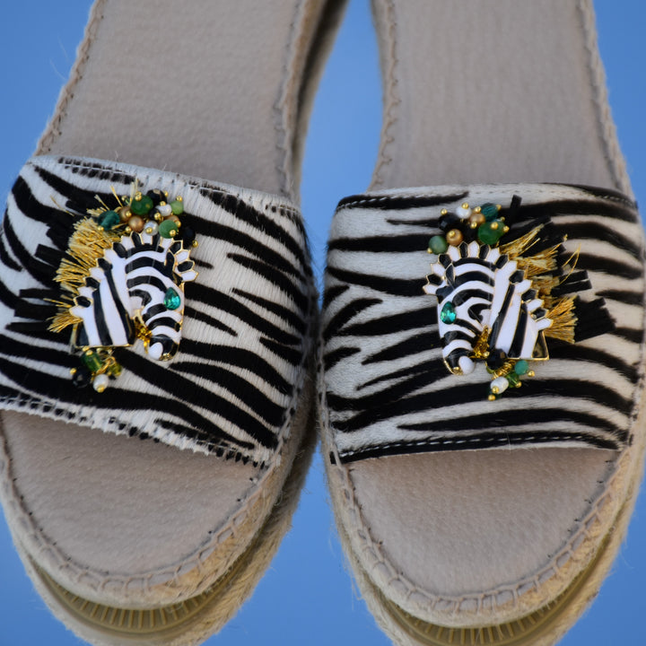 Las Zebra Flats