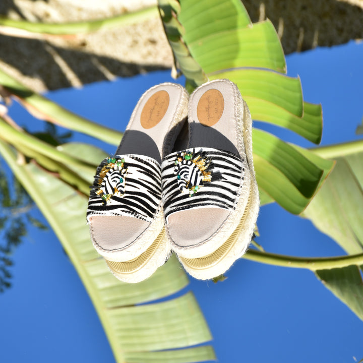 Las Zebra Flats